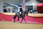 SBM_00810