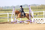 SBM_000061