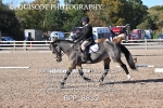BPP_8813