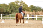 SBM_006537