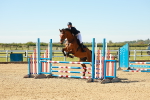 SBM_000193