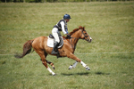 BVHT 140517  IXC -270
