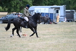 WJ7_6139