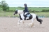 BPP_7646