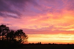 Very Pink Sunrise