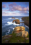 Sunlit Stacks