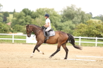 SBM_000697
