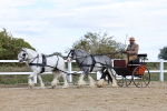SBM_001191