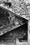 Staircase (798) #2