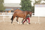 SBM_07745