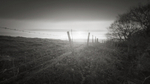 Wire Fence, Otley Chevin