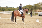 SBM_009576