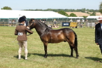 SBM_06850