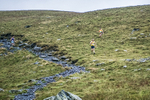 Bannerdale-130