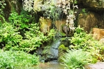 Fairy Glen