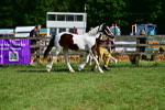 SBM_10001