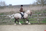 SBM_007204