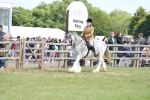 SBM_17147