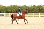SBM_002330