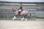 SBM_007097