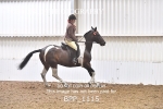 BPP_1115