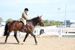 SBM_17636