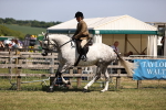 SBM_17729