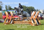BPP_6833