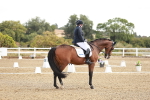 SBM_008647