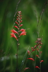 20100827_0215