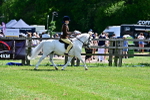 SBM_07762