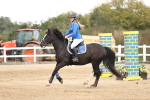 SBM_04285