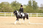 SBM_007493