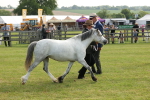 SBM_00564