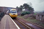 31st March 1985