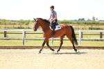 SBM_005808