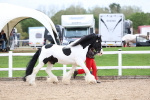 SBM_05859