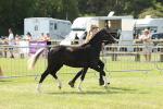 SBM_02403