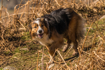 Elterwater-591