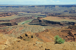 Canyonlands-2011 portfolio