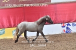 JAC_5684