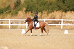 SBM_017590