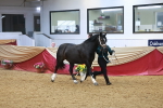 SBM_16724