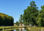 France Landscape3