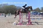 BPP_3281