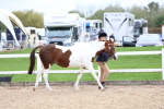SBM_05815