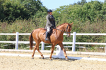 Ridden Championship portfolio