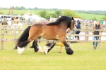 SBM_06282