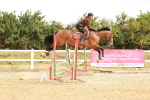 SBM_004816
