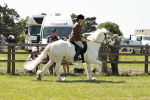 SBM_07066